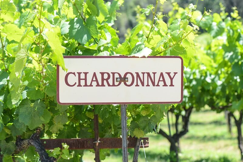 chardonnay