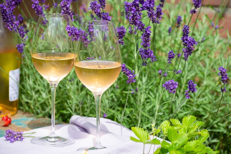 Przewodnik po chenin blanc